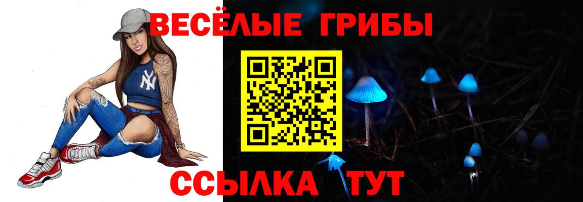 Галлюциногенные грибы Psilocybe Краснокаменск